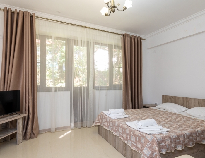 Полулюкс 2-местный 1-комнатный (корпус Новый) - Пансионат «Эвкалиптовая роща» Кындыг