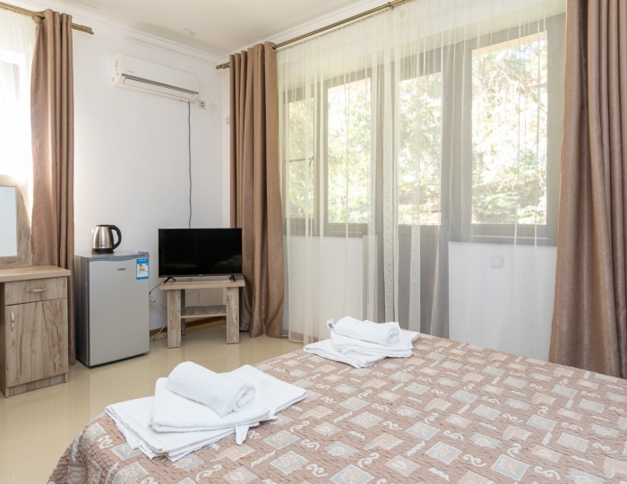 Полулюкс 2-местный 1-комнатный (корпус Новый) - Пансионат «Эвкалиптовая роща» Кындыг